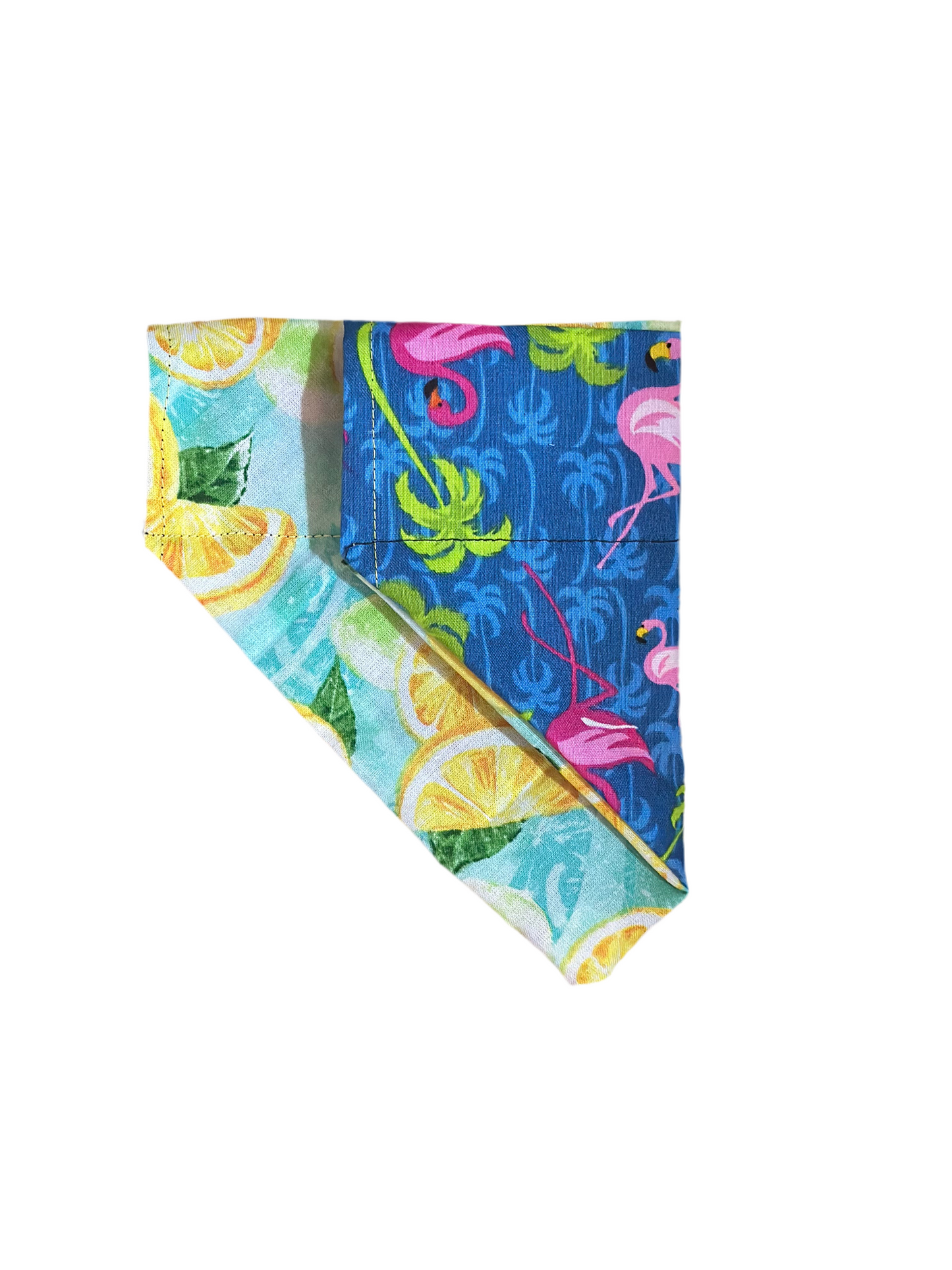 Feather & Fruit Bandana