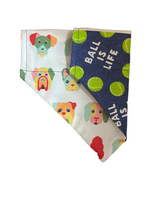 Fetch Fanatic Bandana