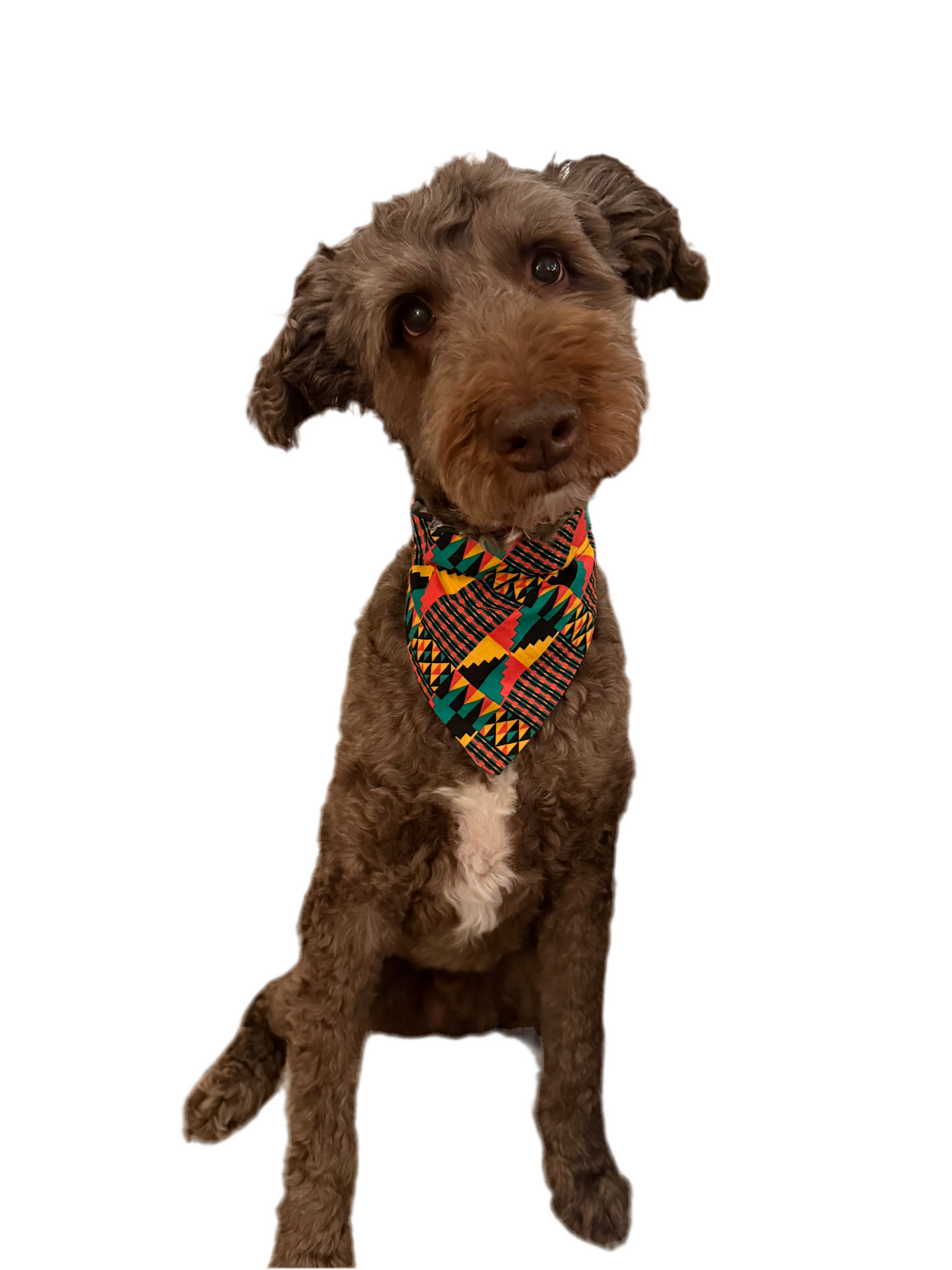 Reggae Check Bandana