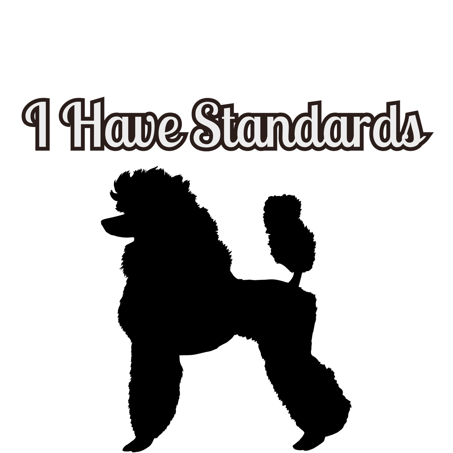 I Have Standards T-Shirt
