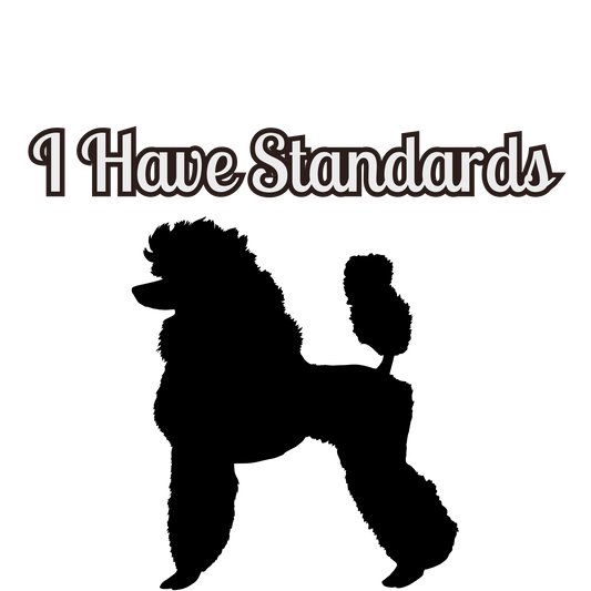 I Have Standards T-Shirt