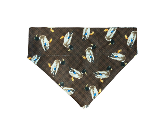 Wood Duck Bandana