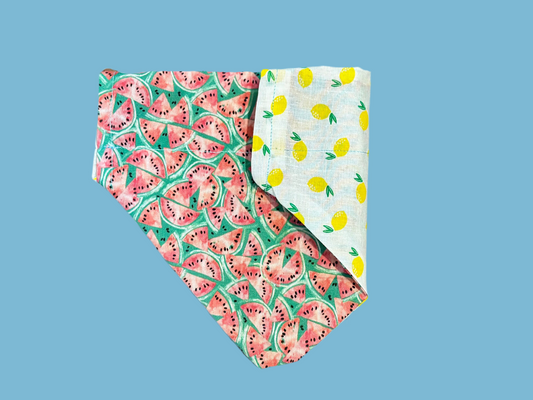 Sweet & Sour Bandana