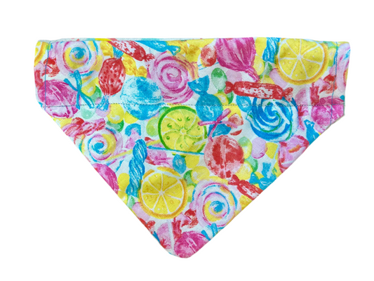 Rainbow Swirl Bandana