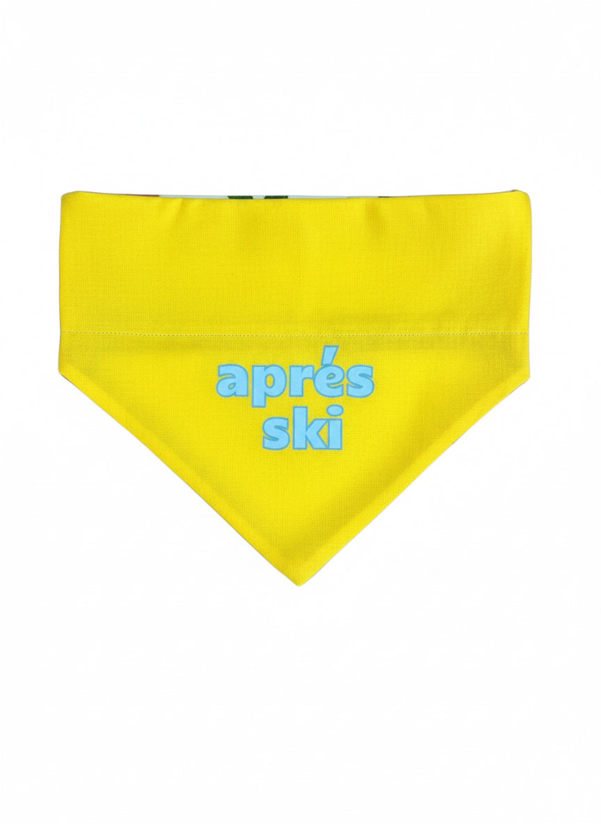 Ski Patrol Bandana