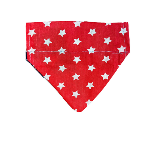 Lone Star Stargazer Bandana
