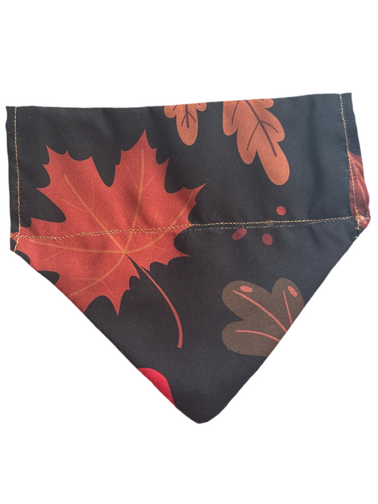 Fall Harvest Bandana