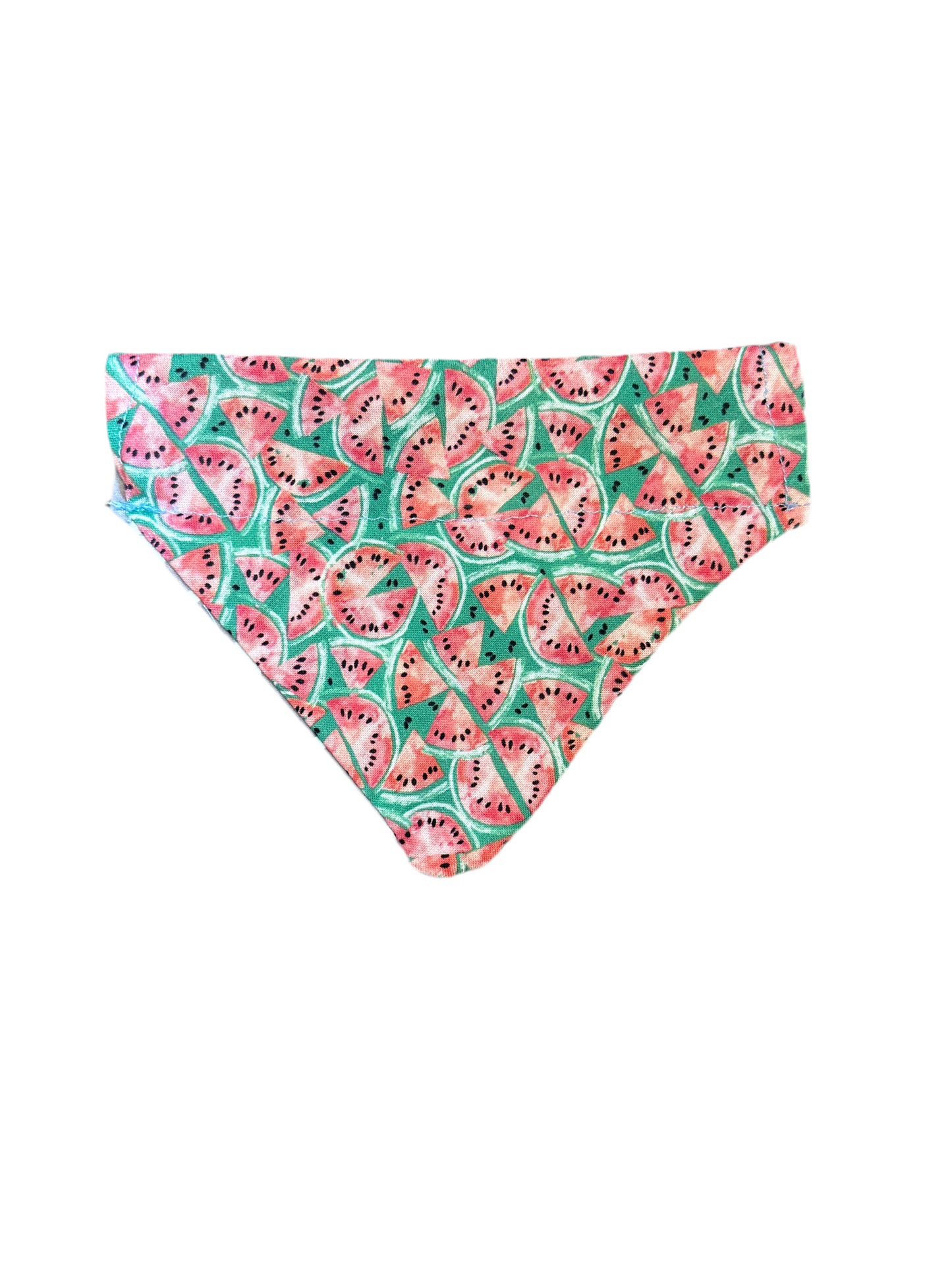 Whales & Watermelons Bandana
