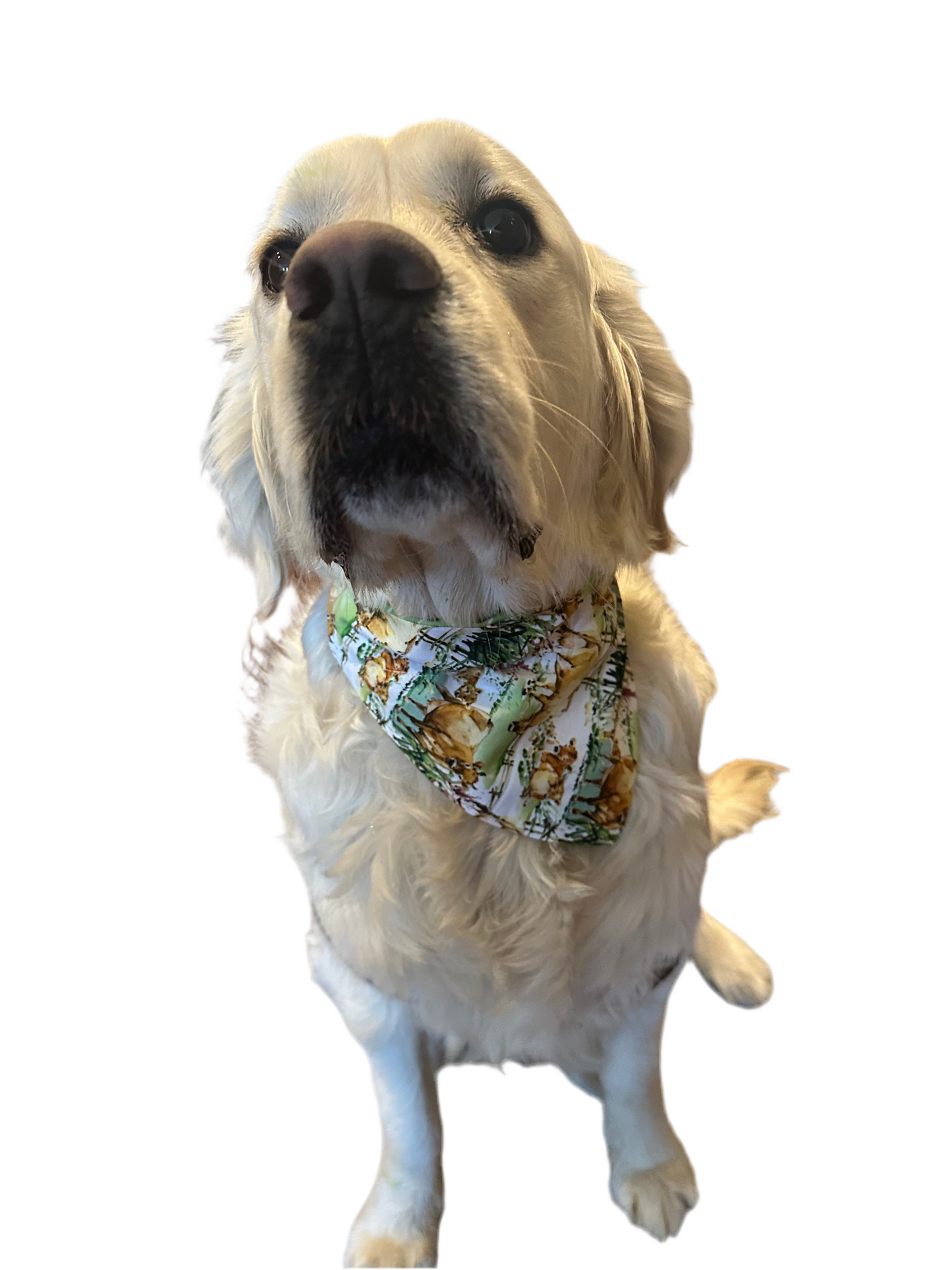 Udderly Adorable Bandana