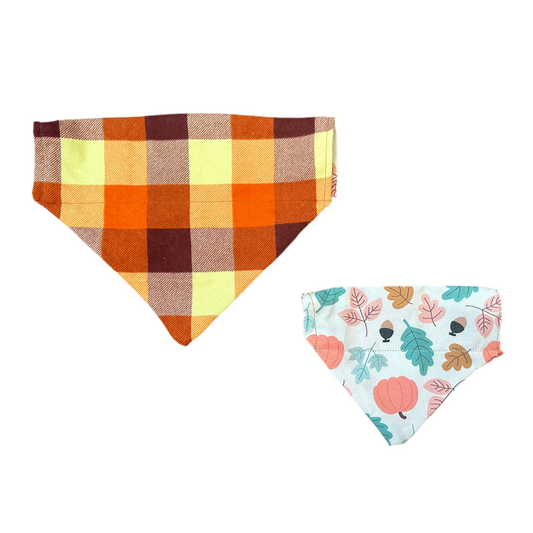 Fall Fun Bandana
