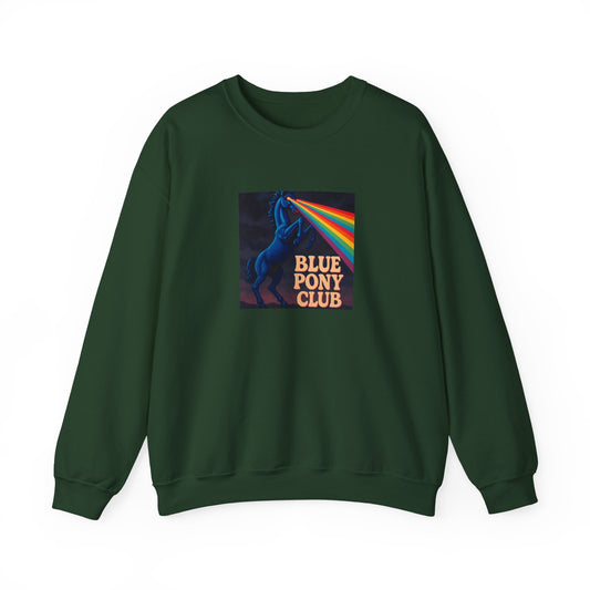 Blue Pony Club Sweatshirt