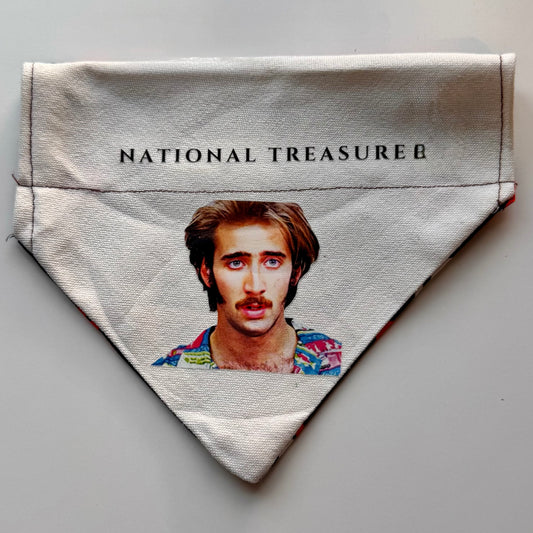 Raising Broncos Bandana