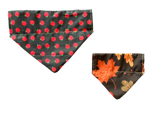 Fall Harvest Bandana