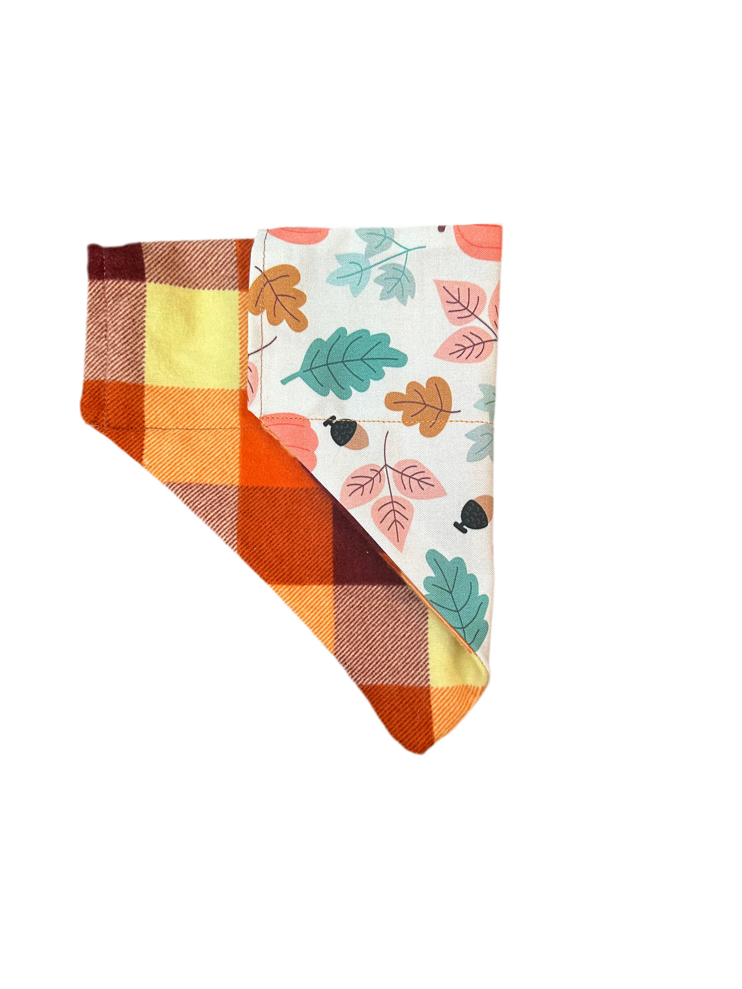 Fall Fun Bandana