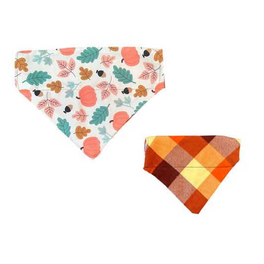 Fall Fun Bandana