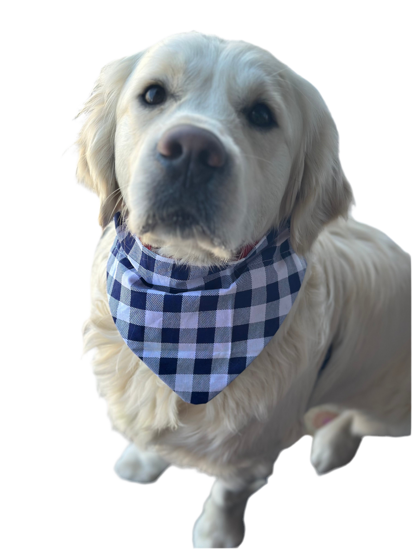 Slice & Squares Bandana