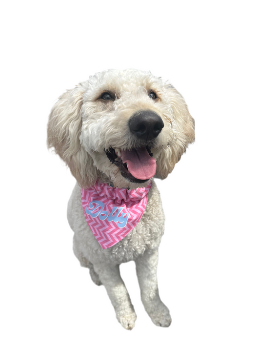 Custom Dog Bandana