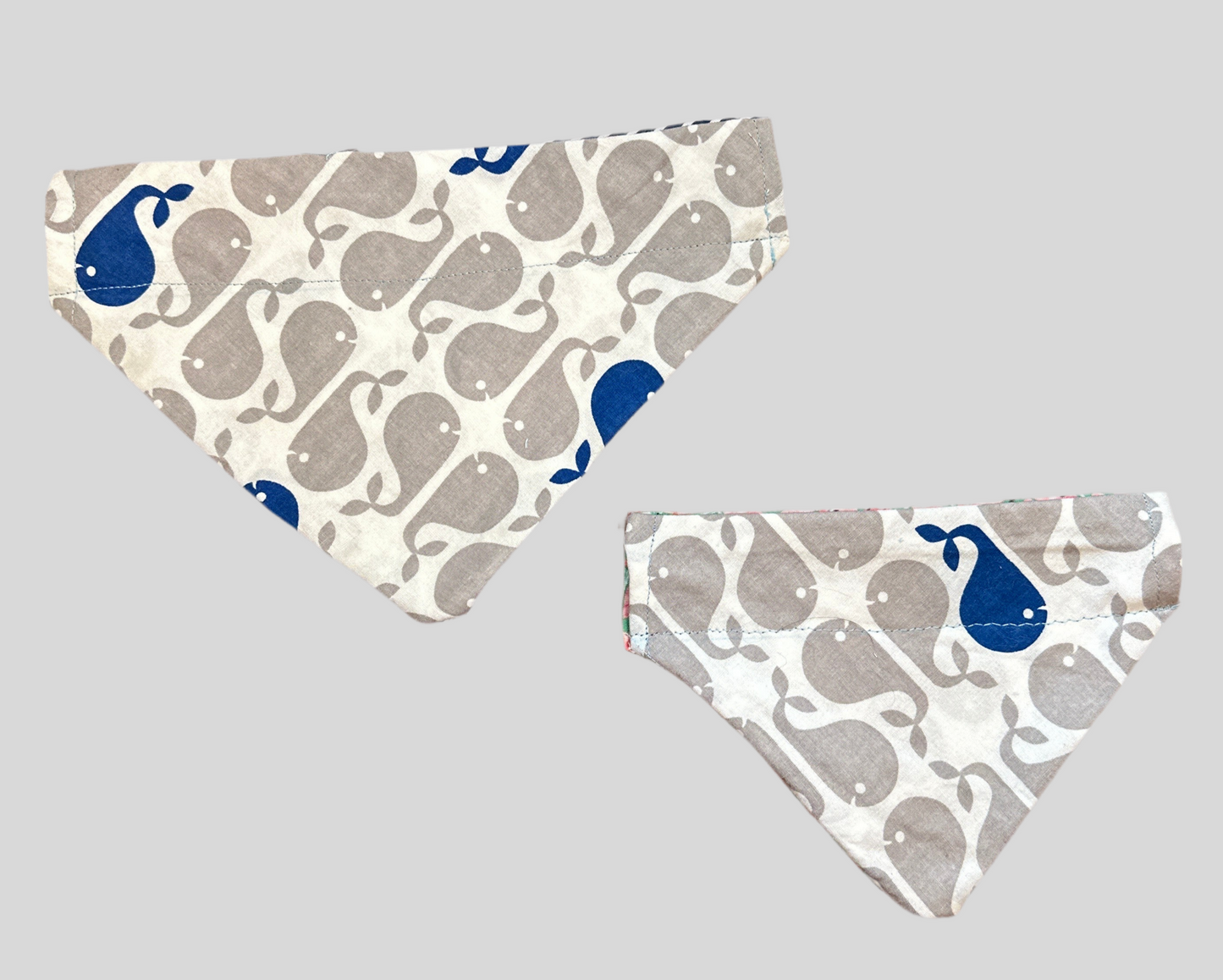 Whales & Watermelons  Bandana