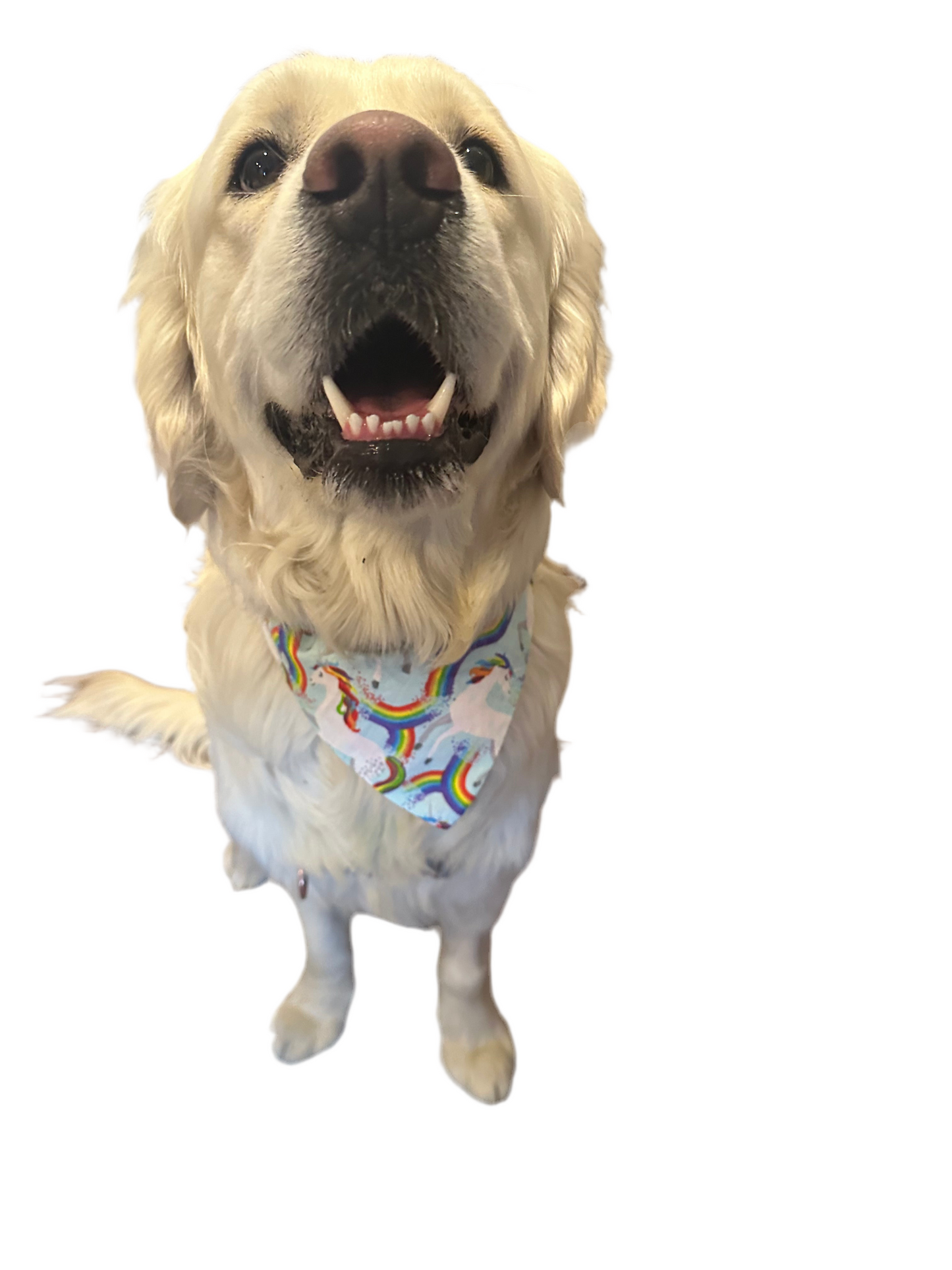 Unicorn Kisses Bandana