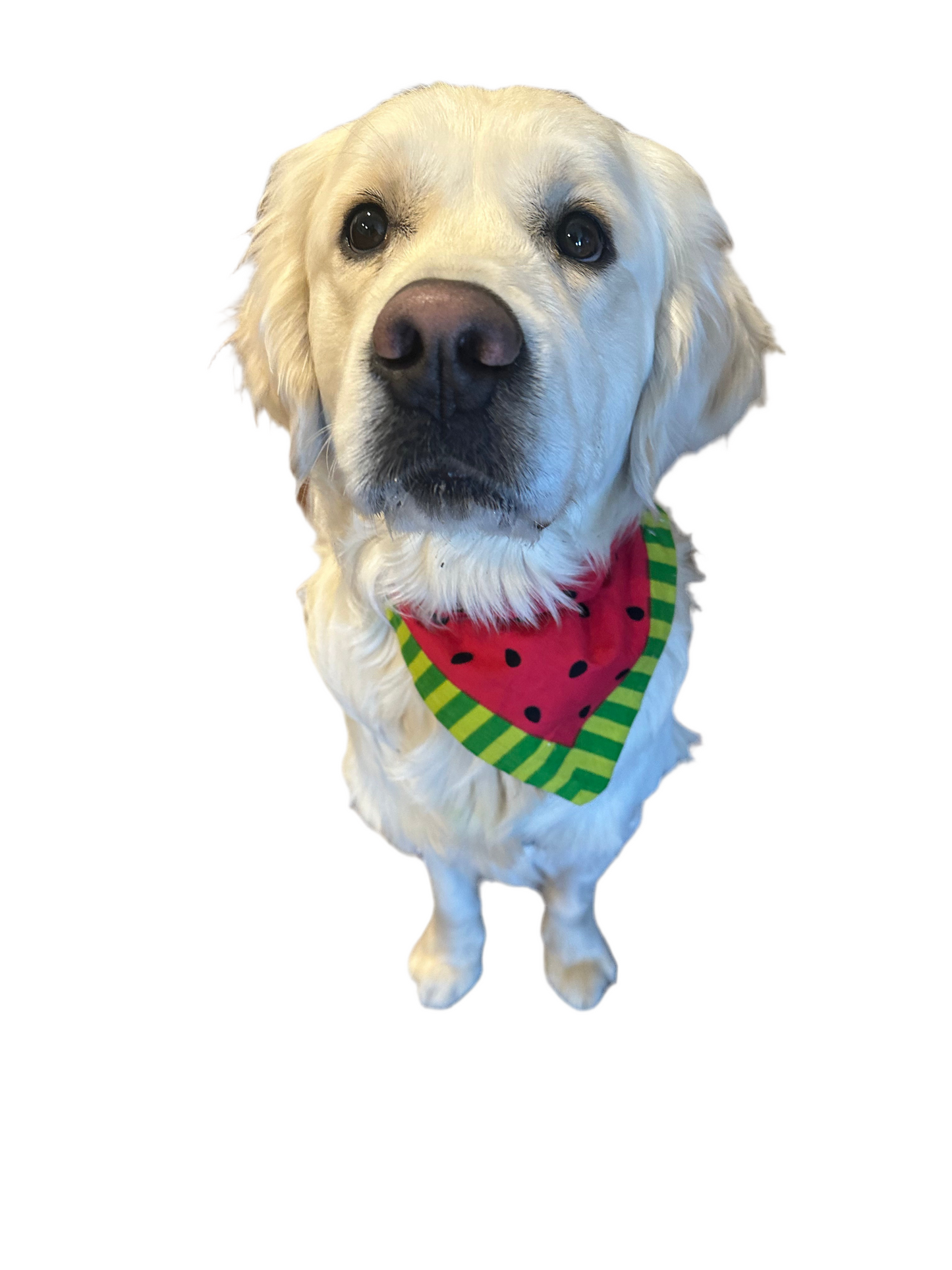 Slice & Squares Bandana