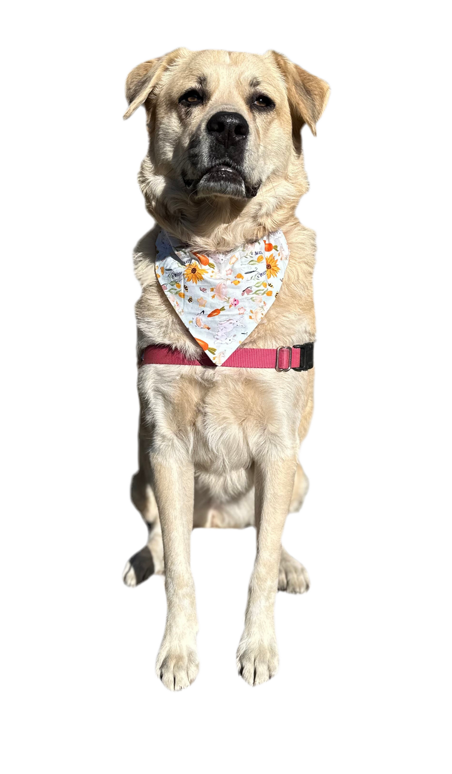 Buns & Blooms Bandana