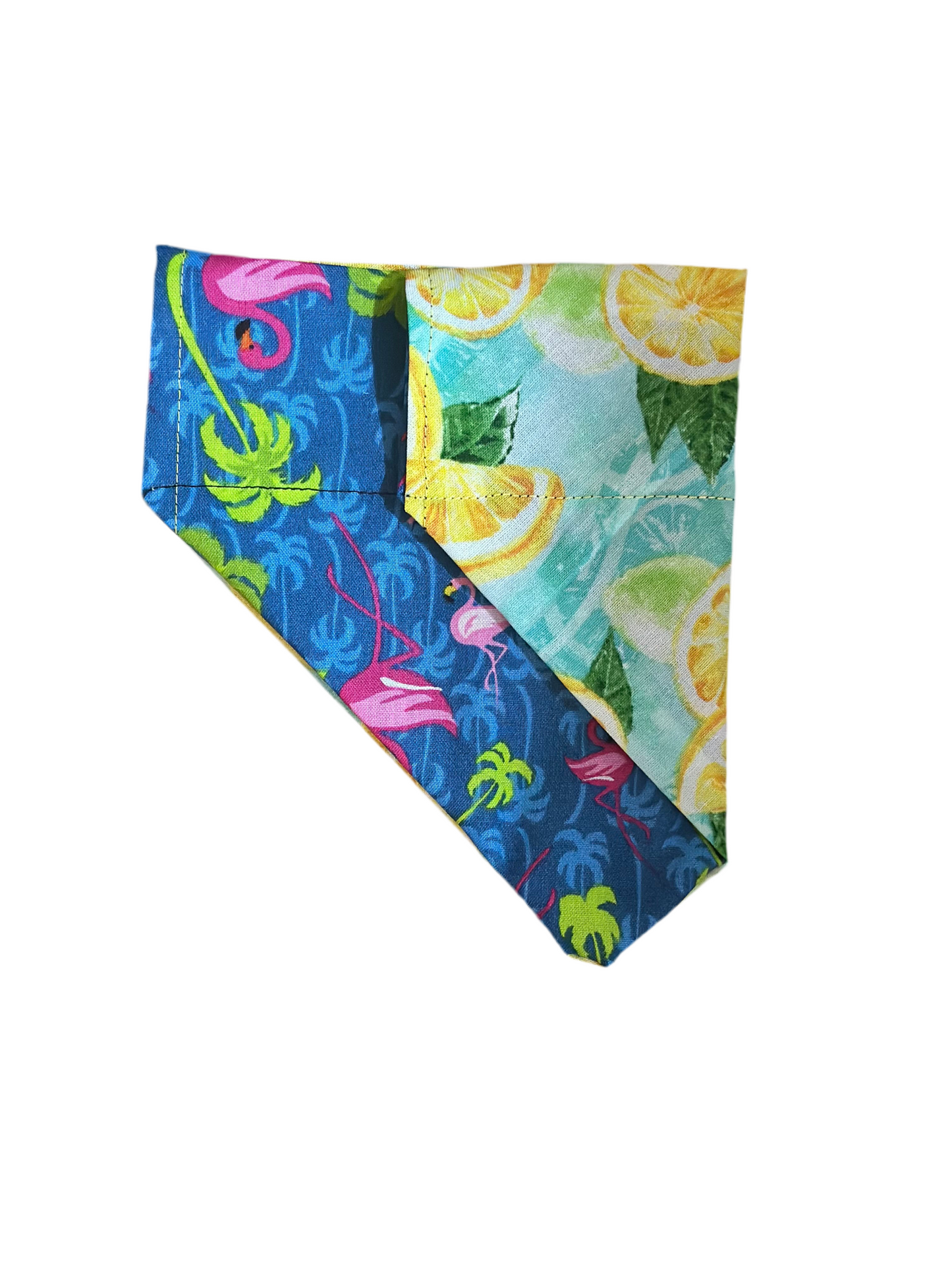 Feather & Fruit Bandana