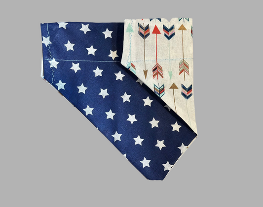 Star Chaser Bandana