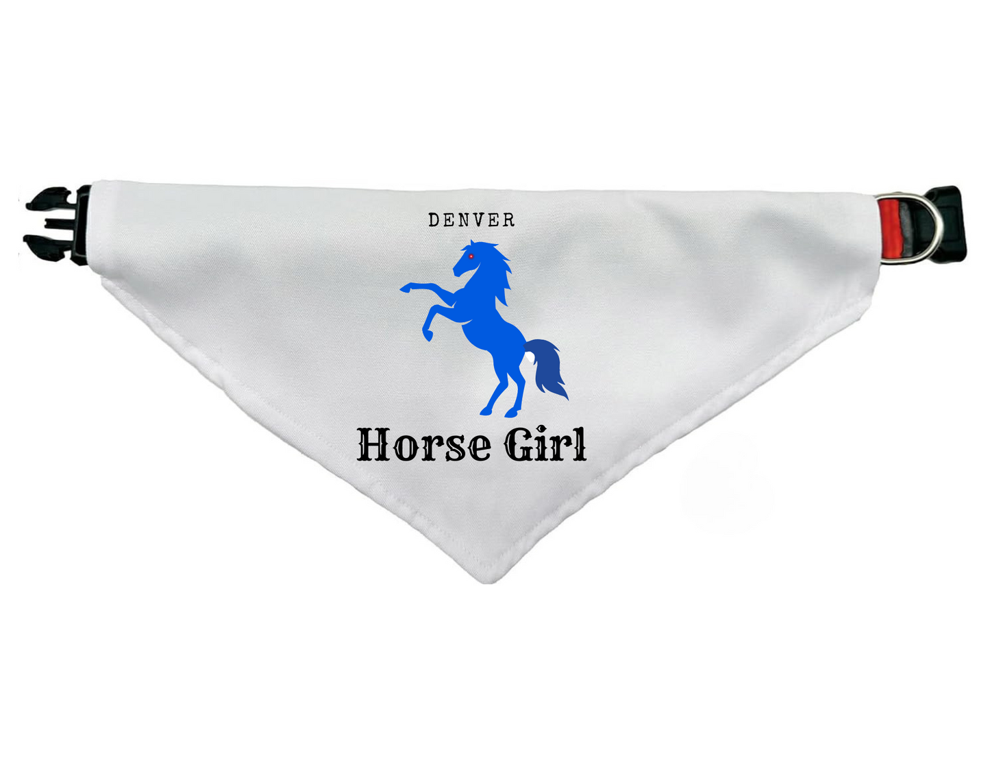 Giddy Up, Pup! Denver Horse Girl Bandana