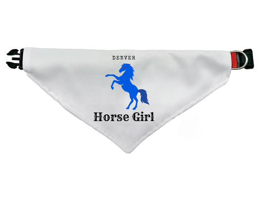 Giddy Up, Pup! Denver Horse Girl Bandana