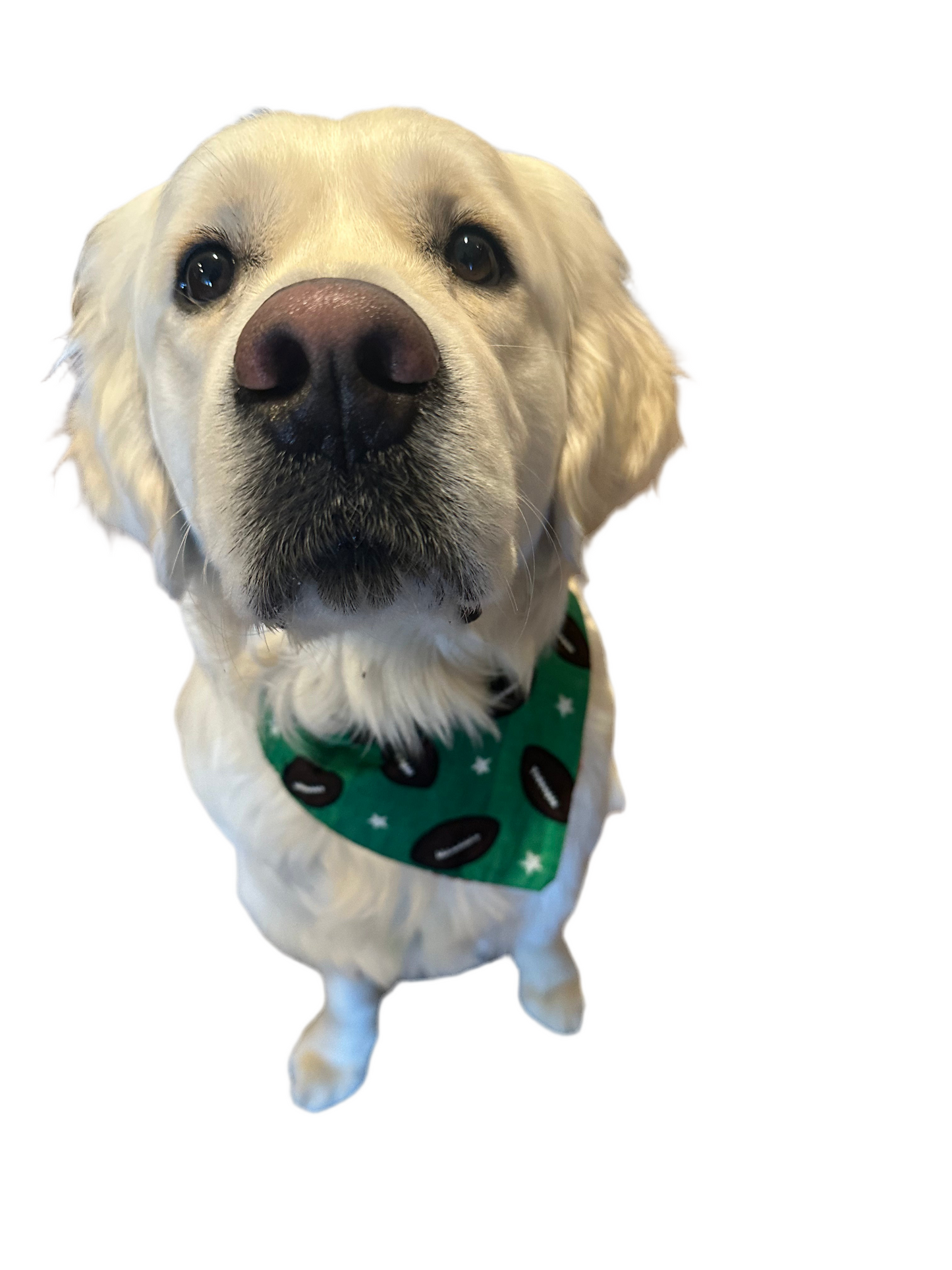 Touchdown Bandana