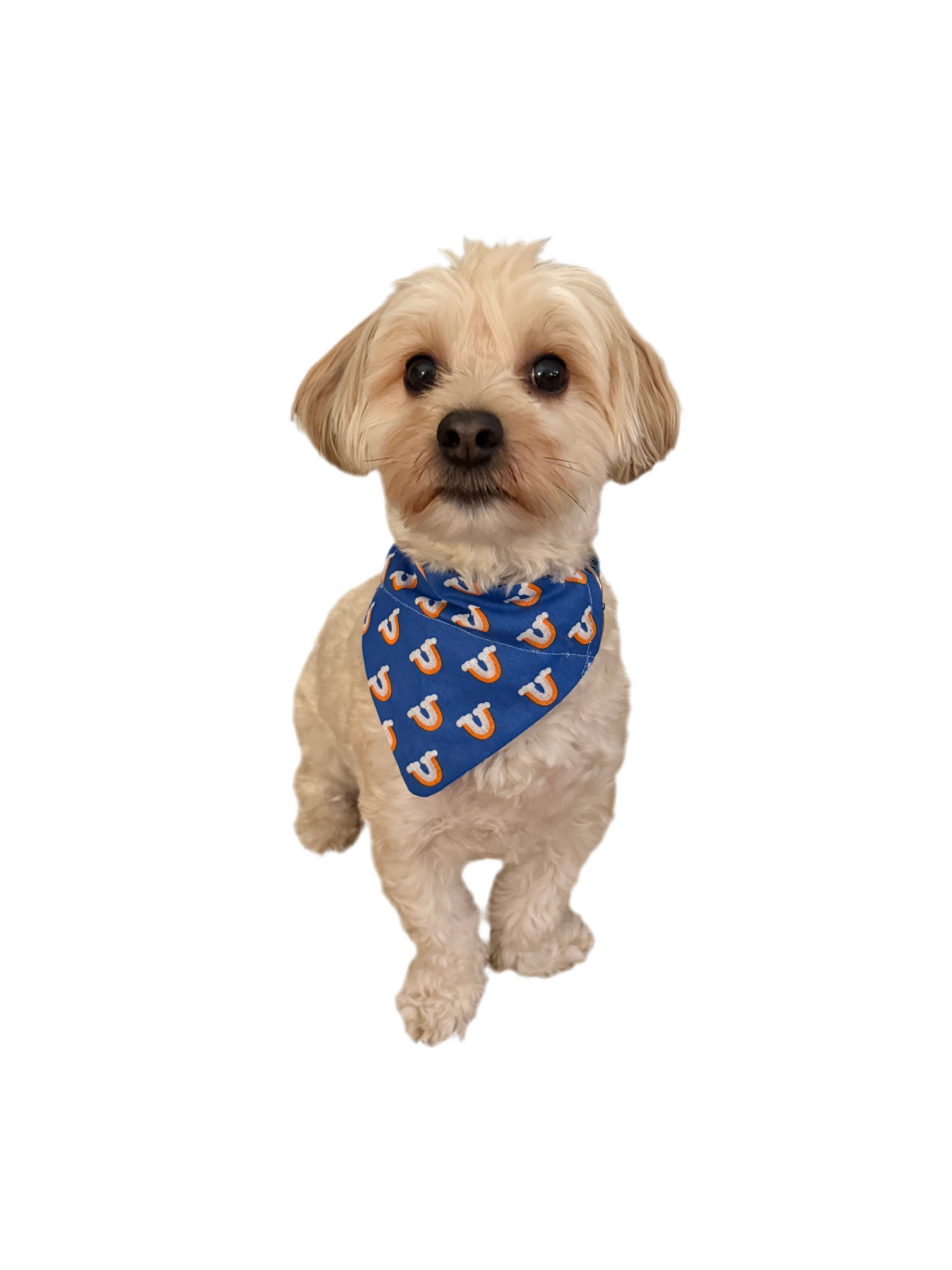 Chasing Rainbows & Clouds Bandana