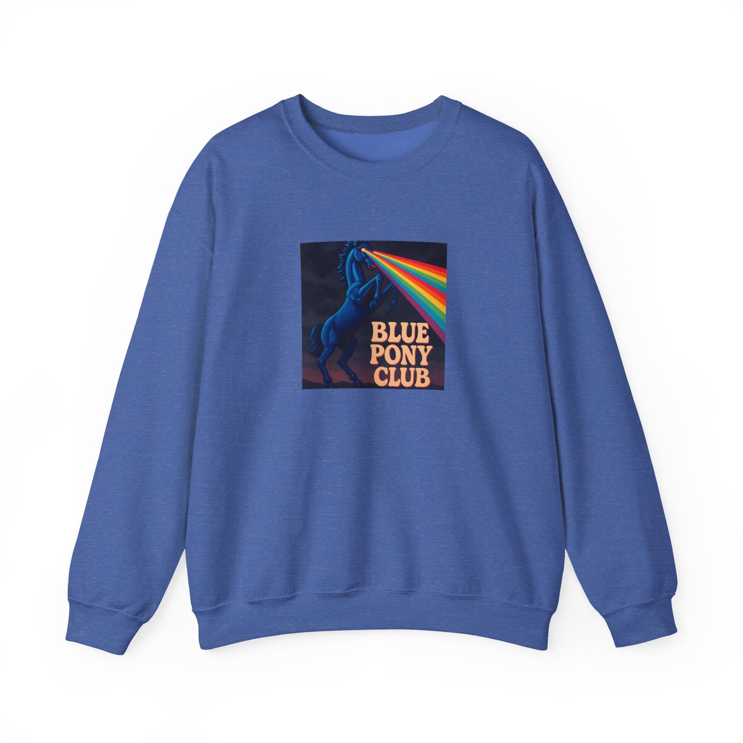 Blue Pony Club Sweatshirt