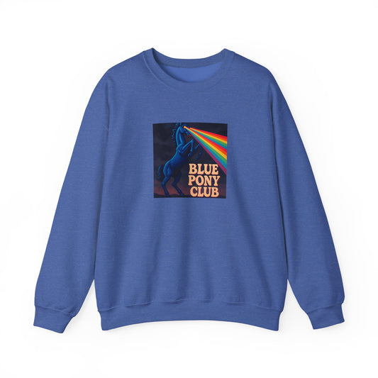 Blue Pony Club Sweatshirt