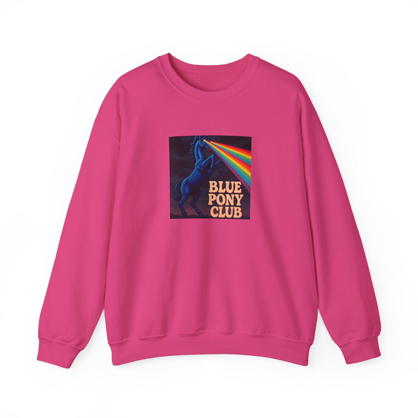 Blue Pony Club Sweatshirt