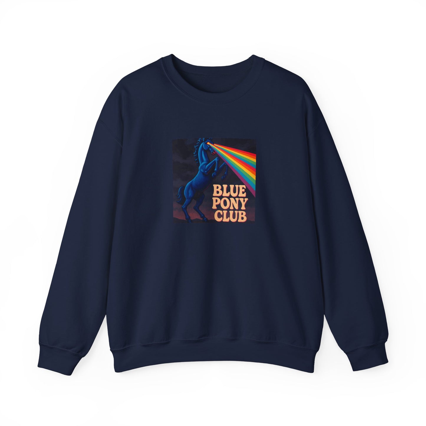 Blue Pony Club Sweatshirt