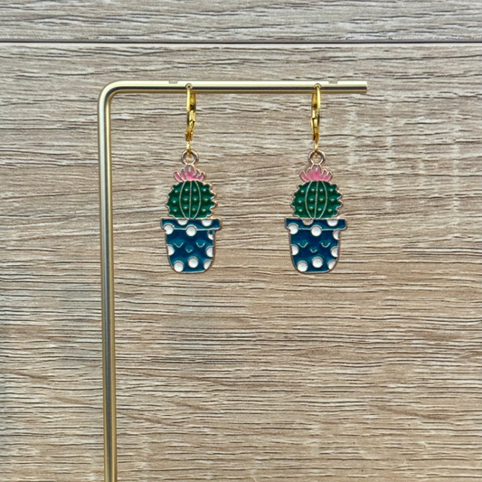 Hedgehog Cacti Bobs