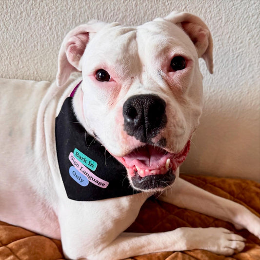 Bark In Sign Language Bandana