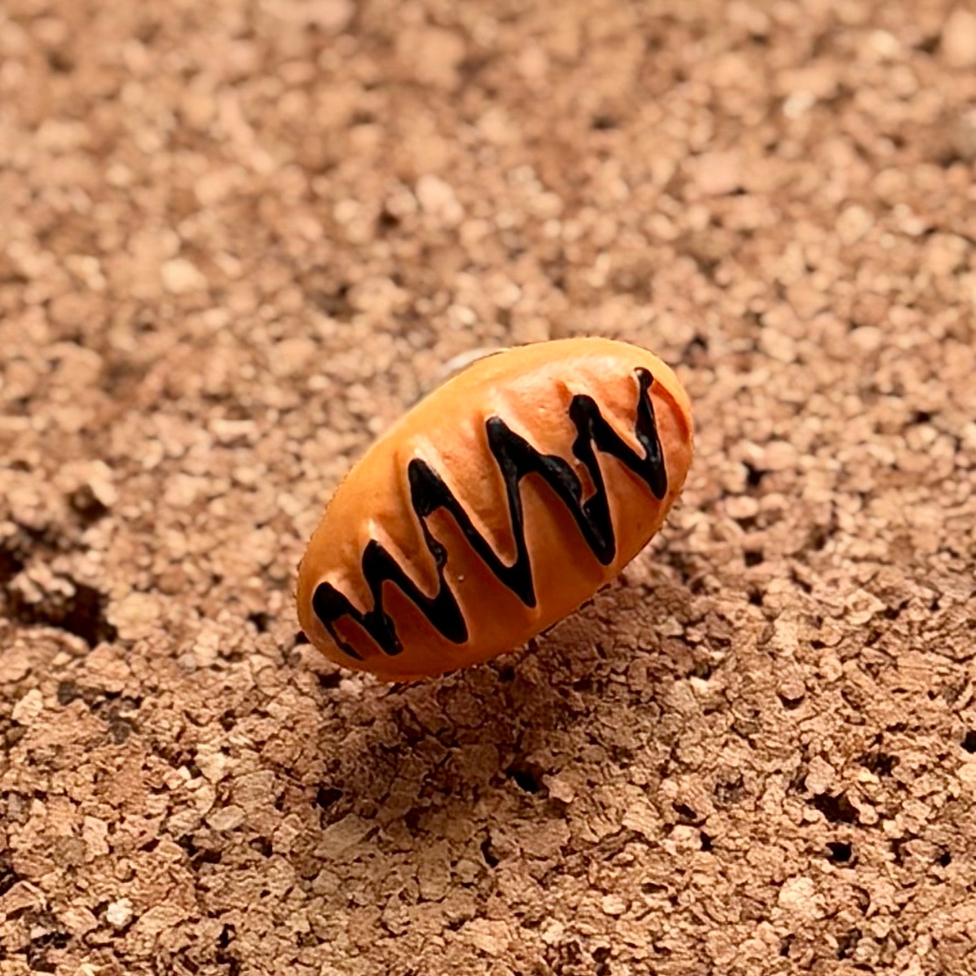 Pin-isserie Delights Pins